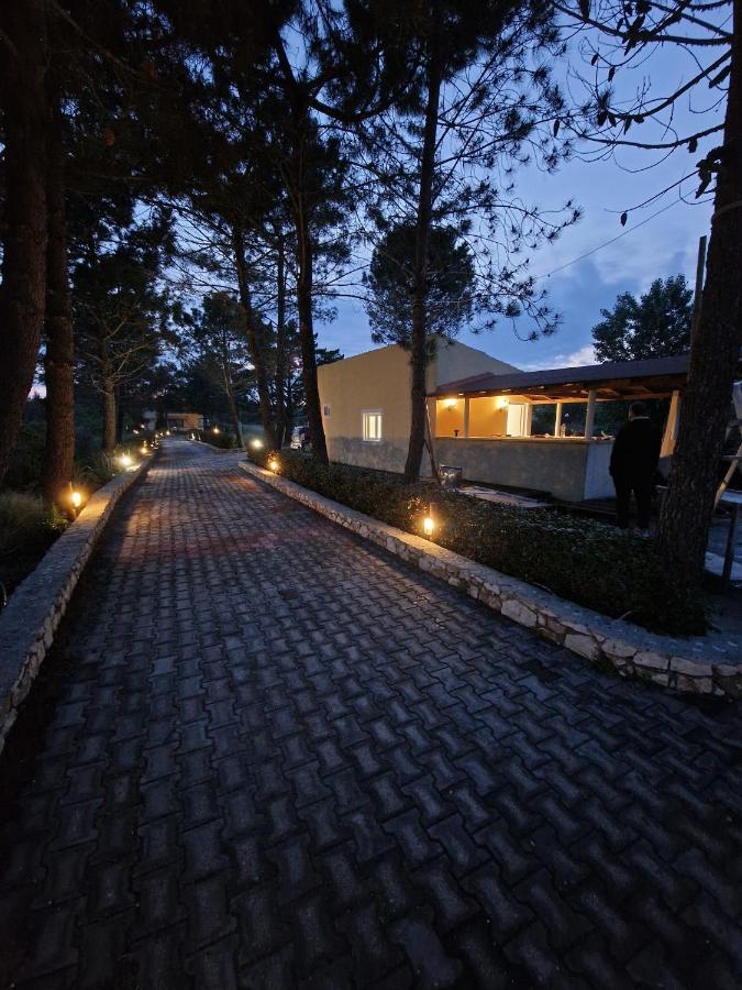 Alexandra Studio 10 Lefkímmi Exterior foto